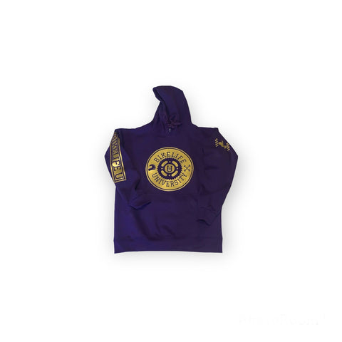 Classic hoodie Purple w/ Gold